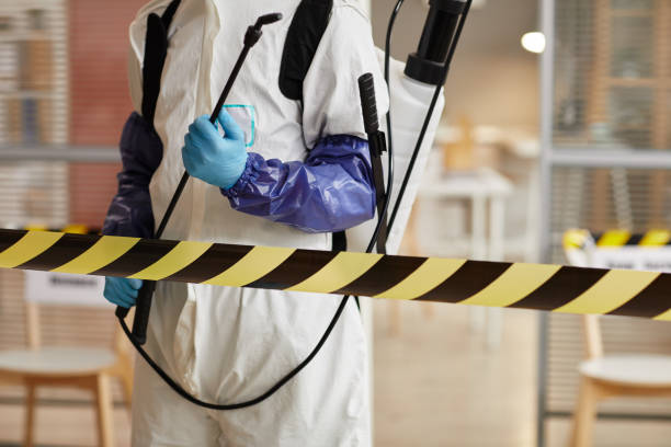 Professional Biohazard technician working in Center Barnstead, NH